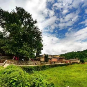 贵阳避暑村寨：要凉快 住下寨