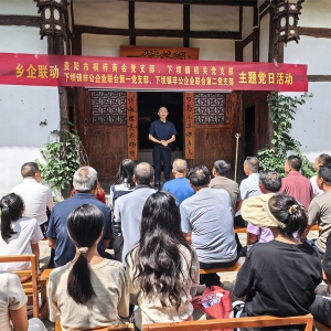 乡企联动，主题党日活动创新意